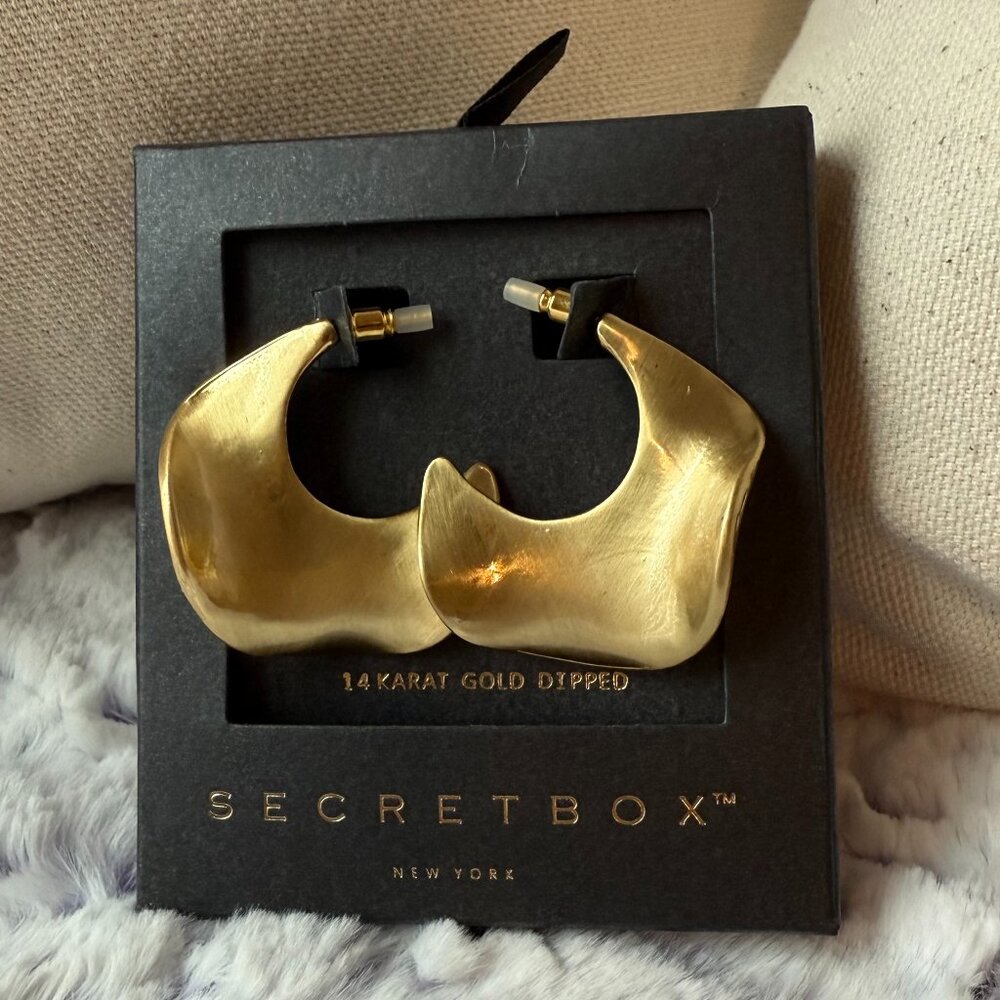 Secretbox New York 14K Gold Dipped Hoop Earrings